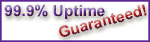 Web Hosting 99.99% Uptime Guarantee