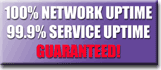 Web Hosting - 100% Network Uptime - 99.9% Service Uptime - Guaranteed!